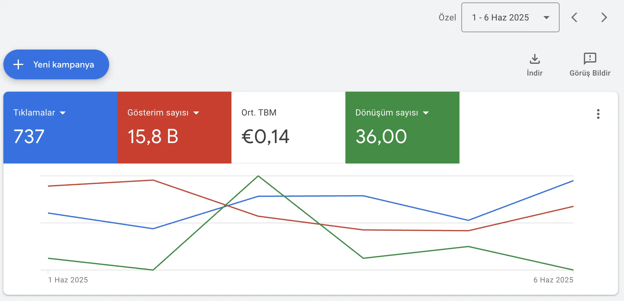 Google Ads Raporu - Müşteri Başarısı